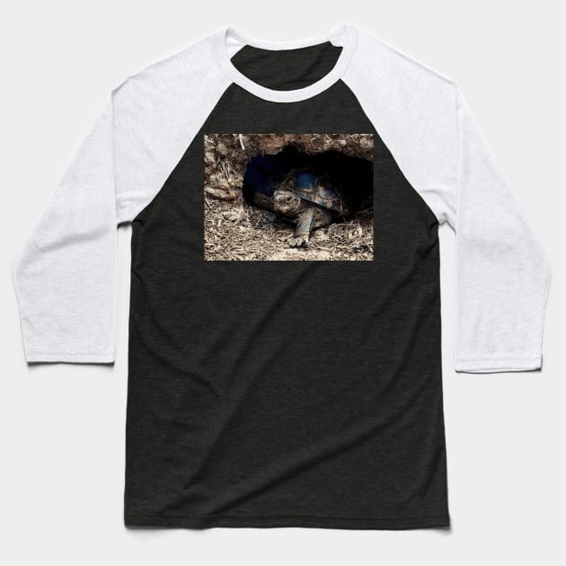 Box Tortoise Baseball T-Shirt by mtndew3301@gmail.com